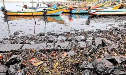 The oil leak has affected households in Ennore