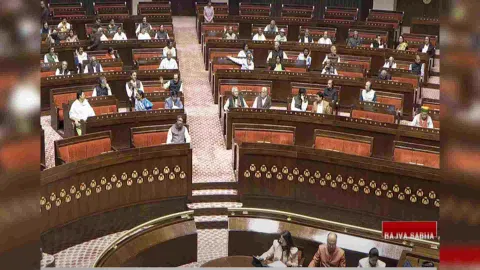 Rajya Sabha (Photo/ Sansad TV)
