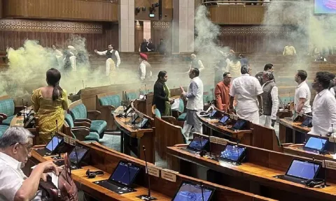 MPs can be seen inside the House where a man released yellow smoke from a canister.
