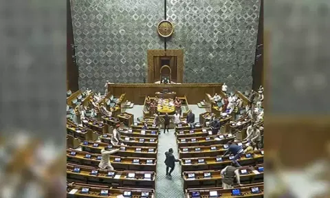 A visitor jumps into the Lok Sabha chamber from the public gallery on December 13. (Sansad TV/PTI)