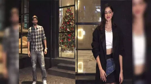 Aditya Roy Kapur, Ananya Panday (ANI)
