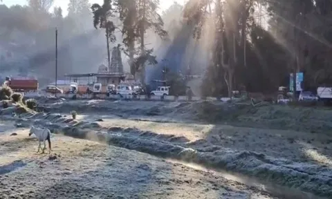 Large patches of grasslands in the Nilgiris district with frozen dew. ANI