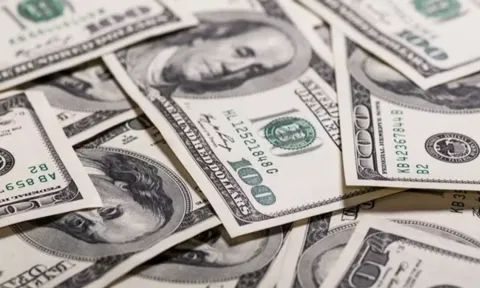 FOREX-Dollar holds steady as risk rally stalls