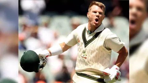 David Warner (ANI)