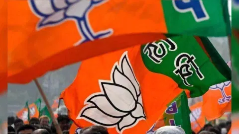 BJP Flag&nbsp;&nbsp;