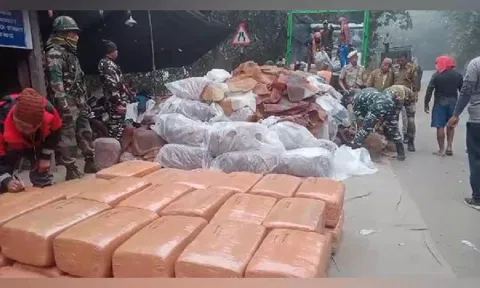 Tripura police seize 1630 kg of cannabis, one arrested. (ANI)
