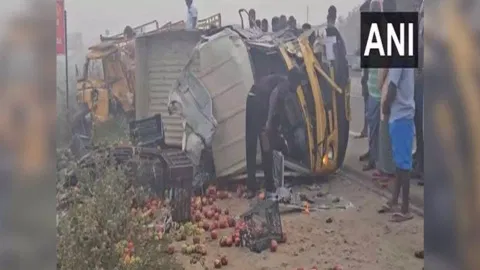 5 people injured after two cargo vehicles collide in Tamil Nadu's Tiruvallur district. (Photo/ANI)
