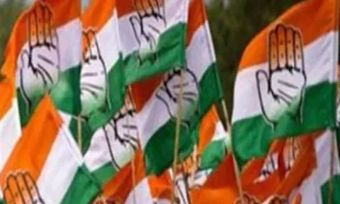 Congress flag. (IANS)