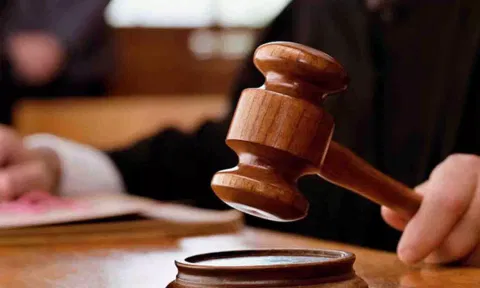 Representative Image (ANI)