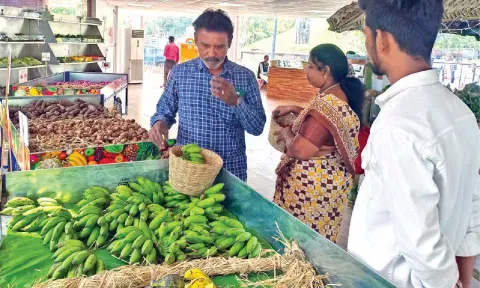 New market at Semmozhi Poonga
