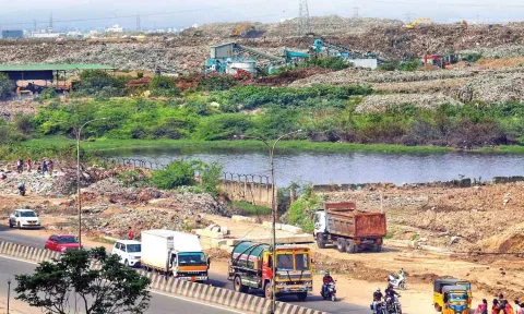 Pallikaranai marshland