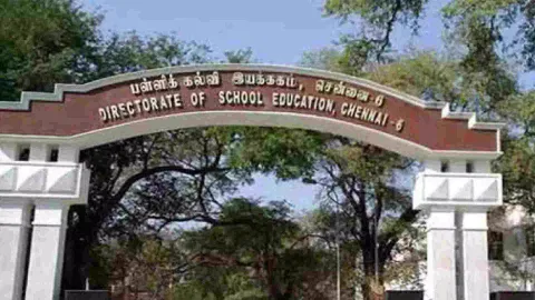 Higher Educational Institutions (HEIs)
