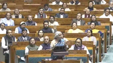 Union Finance Minister Nirmala Sitharaman (Screengrab)&nbsp;