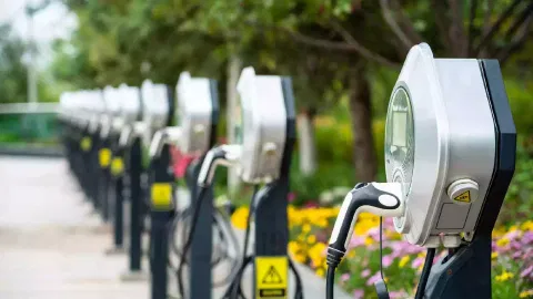 &nbsp;Electric vehicle ecosystem