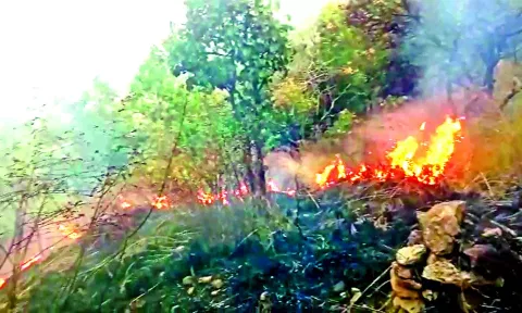 &nbsp;Kurangani fire&nbsp;