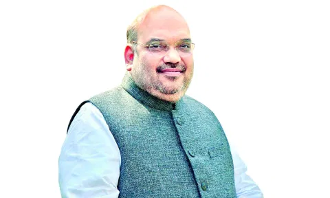 Union Home minister Amit Shah&nbsp;