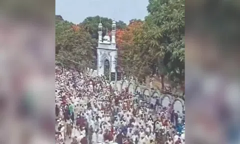 Screengrab of the viral video