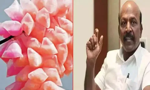 Health Minister Ma Subramanian (R)
