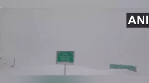 Fresh snowfall at Baltal in Jammu and Kashmir's Ganderbal district (Photo/ANI)