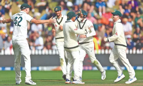 Australian players celebrate Kane Williamson’s wicket&nbsp;&nbsp;