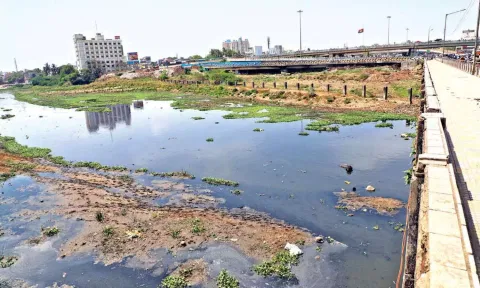 Adyar Cooum River