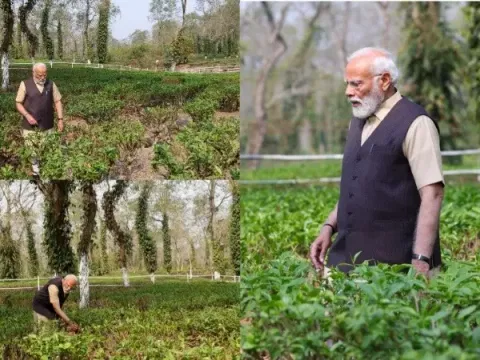 Prime Minister Narendra Modi