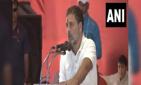 Congress leader Rahul Gandhi (ANI)