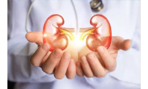 World Kidney Day: Doctors warn against overuse of OTC medicines