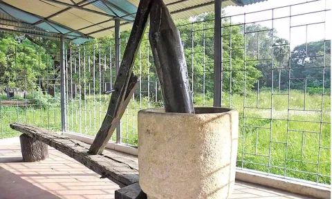 The cold swing machine plied by the freedom fighter