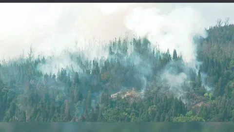 Smoke billows out of the forest as the forest department struggles to douse it