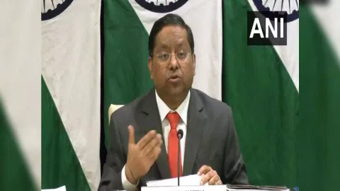MEA spokesperson Randhir Jaiswal. (Photo: ANI)