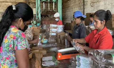 ADB approves USD 100 mln loan to support small and medium-sized enterprises in Sri Lanka (ADB)