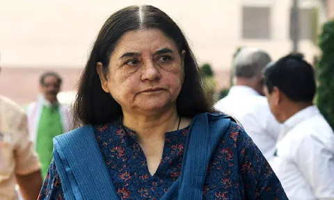 Maneka Gandhi&nbsp;