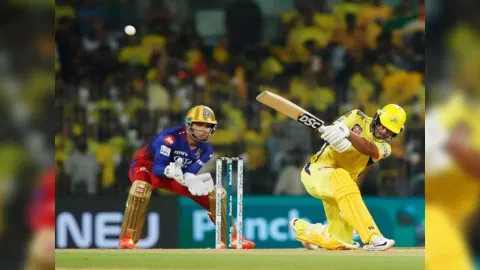 Rachin Ravindra (Photo: IPL)