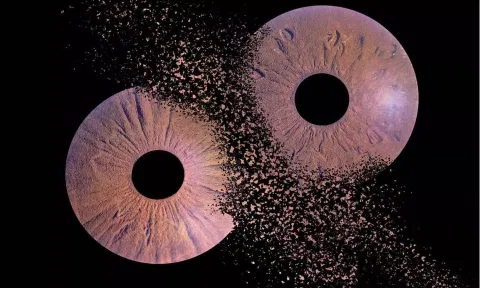 Pictures of the iris