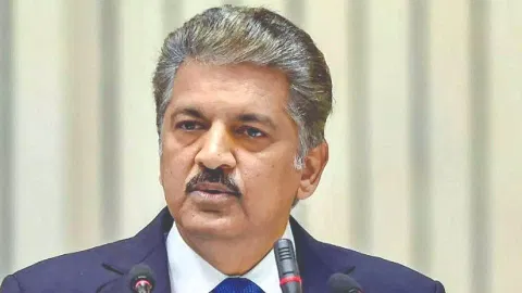 Mahindra Group Chairman Anand Mahindra&nbsp;