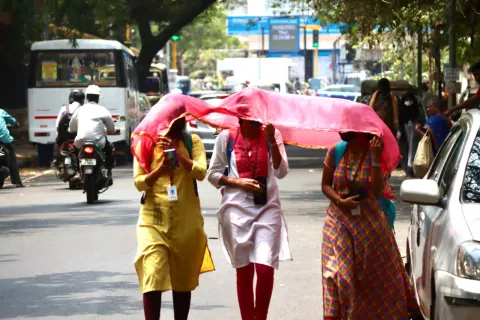 Tamil Nadu faces intense heat from Nov 3 to 8; Chennai records season’s highest 35.5°C