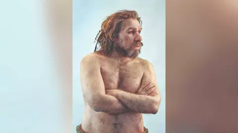 Early humans