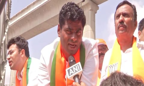 BJP leader K Annamalai and Tejasvi Surya (ANI)