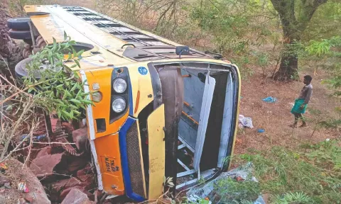 Bus