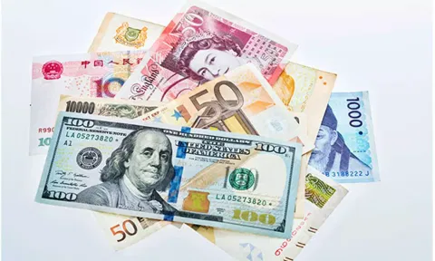 A basket of currencies (ANI)