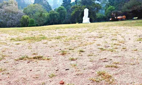 Botanical Garden reels under acute water crisis
