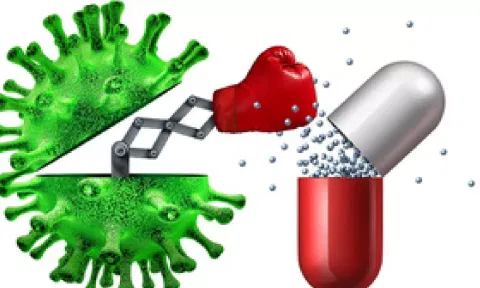 Representative Image (IANS)