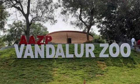 Arignar Anna Zoological Park&nbsp;