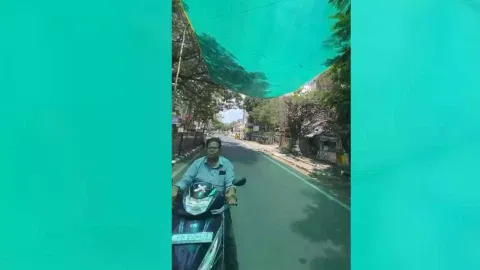 Green shade nets
