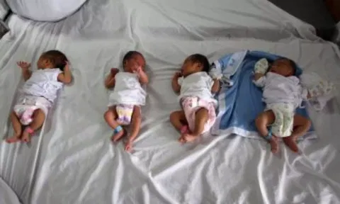 Babies (IANS)