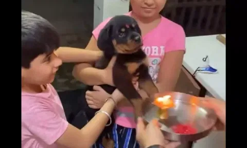 Indian family welcoming puppy with 'Aarti' (Screengrab)&nbsp;
