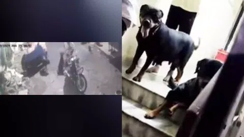 CCTV footage (Photo/Thanthi TV)
