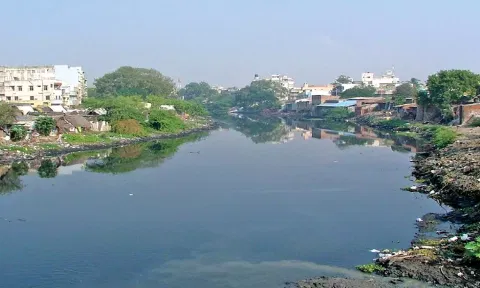 A view of polluted Cooum river in Chennai (File photo)
