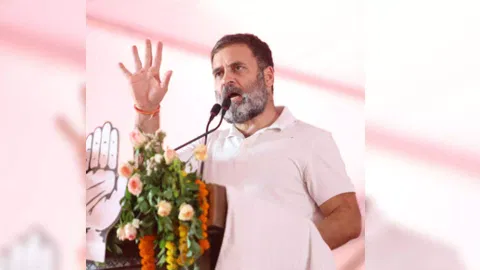 Congress leader Rahul Gandhi (Photo/IANS)&nbsp;